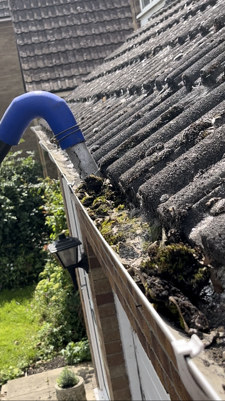 Milton Gutter Cleaning