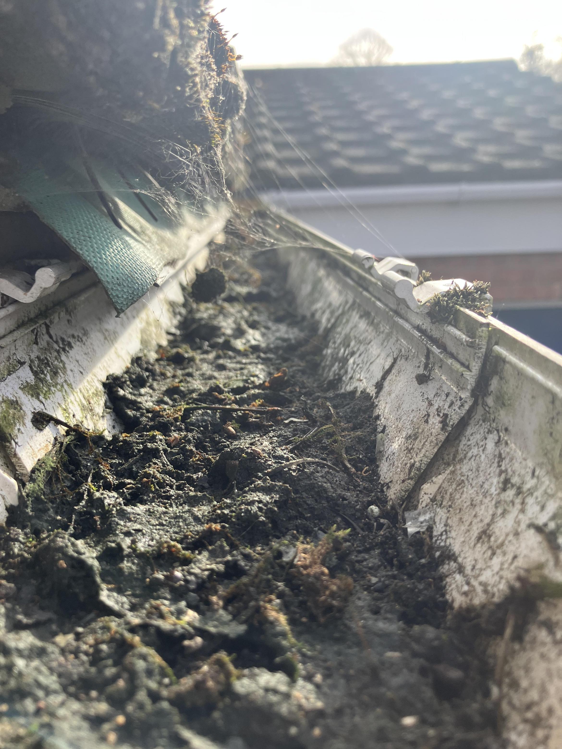 Gutter Cleaning near me