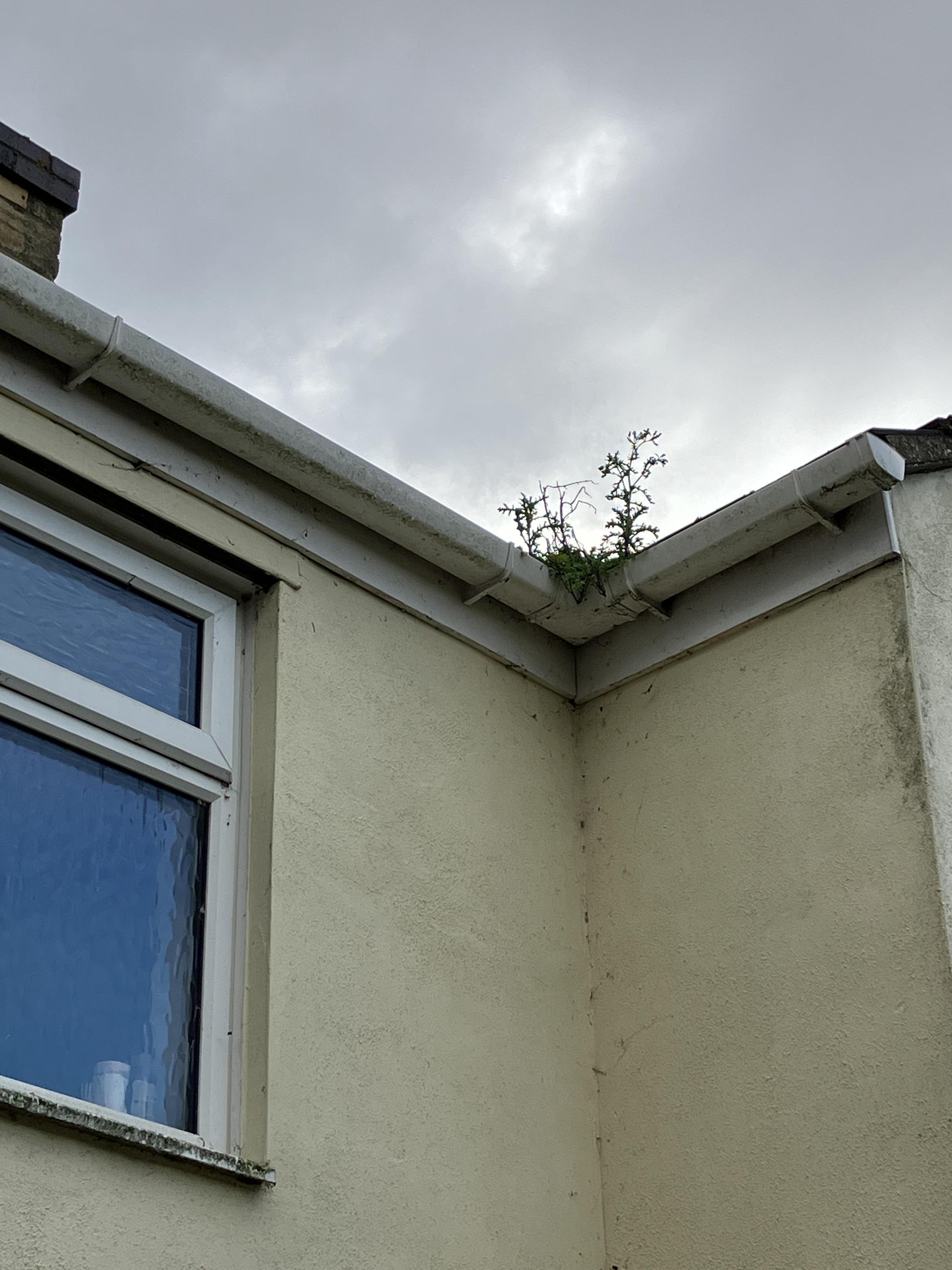 Blocked Gutters in Cambridgeshire